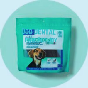 Dog dental 