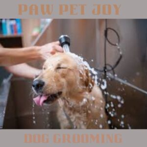 Dog grooming