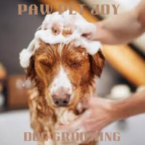 Dog grooming