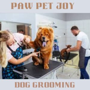 Dog grooming