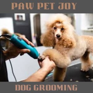 Dog grooming