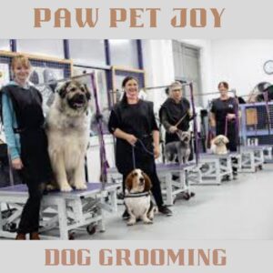 Dog grooming