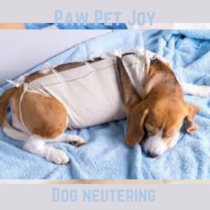 Dog neutering 