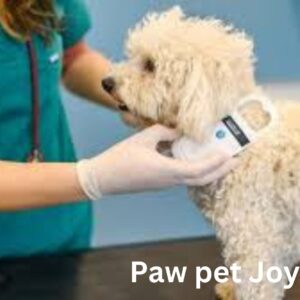 Low-Cost Pet Care clinic