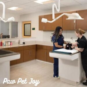 Urgent care pet clinic 