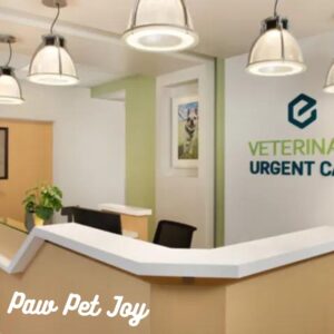 Urgent care pet clinic 