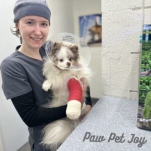 Urgent care pet clinic 