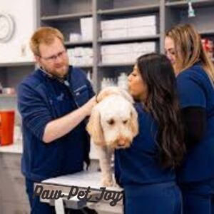 Urgent care pet clinic 