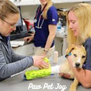 Urgent care pet clinic 