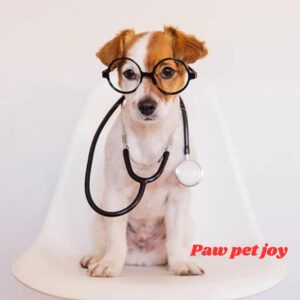 Pet Home Remedies 