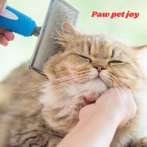 Pet Home Remedies 