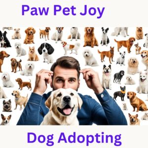 Dog adopting