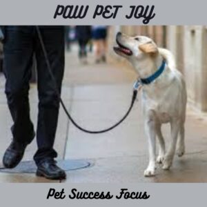 Pet Success Focus 