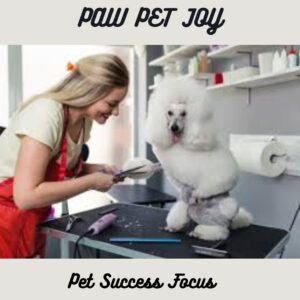 Pet Success Focus 