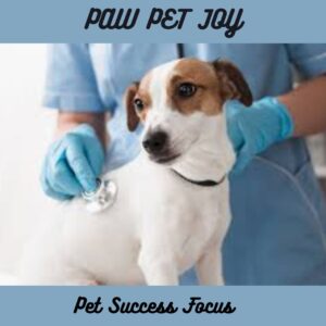 Pet Success Focus 