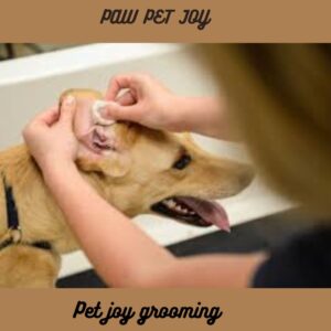 pet joy grooming 