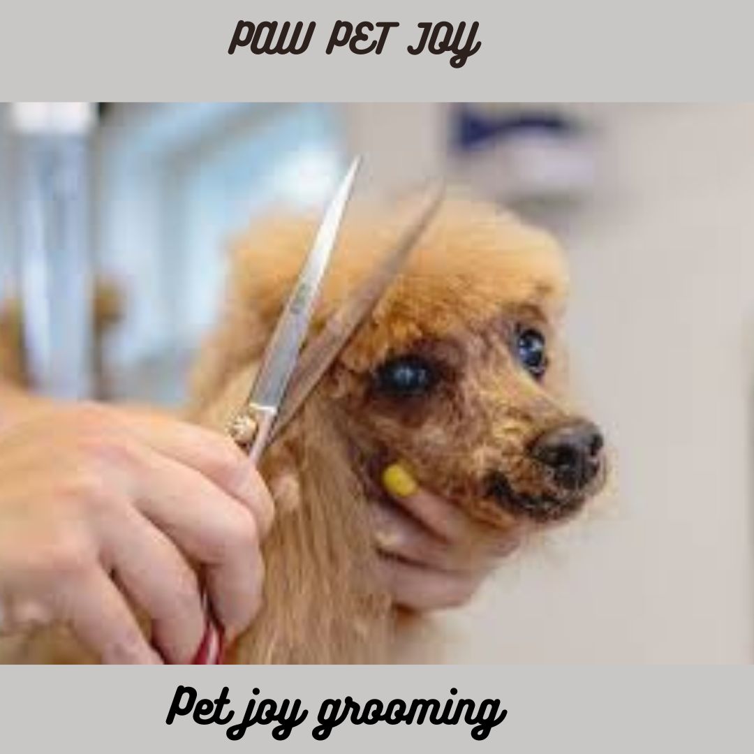 pet joy grooming 