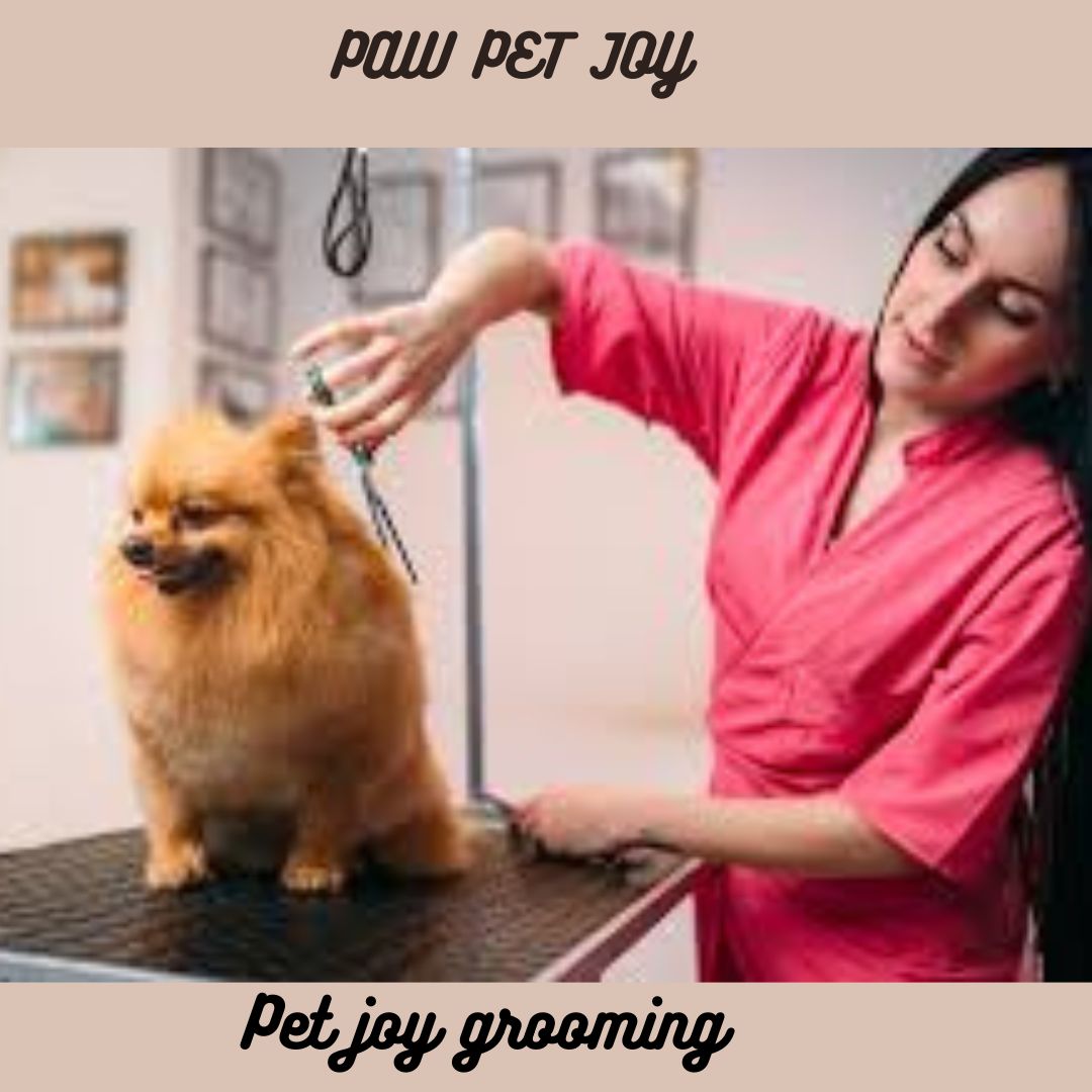 pet joy grooming 