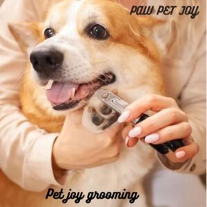 pet joy grooming 