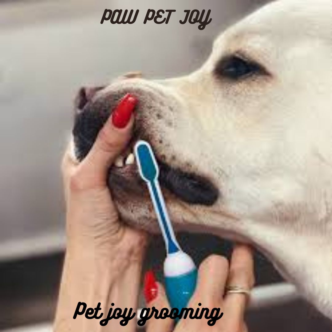 pet grooming