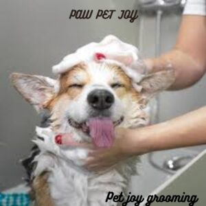 pet joy grooming 