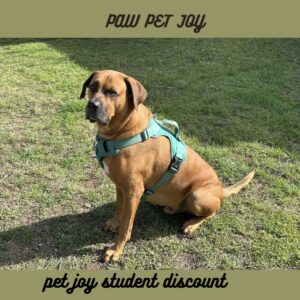 pet joy student discount 