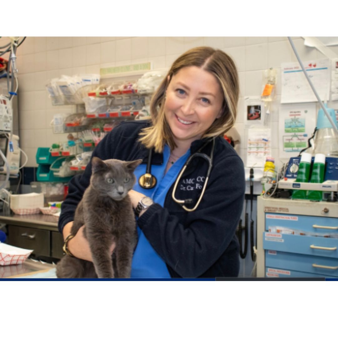 24- Hour pet hospital Critical Care for pets & Exotic Pets