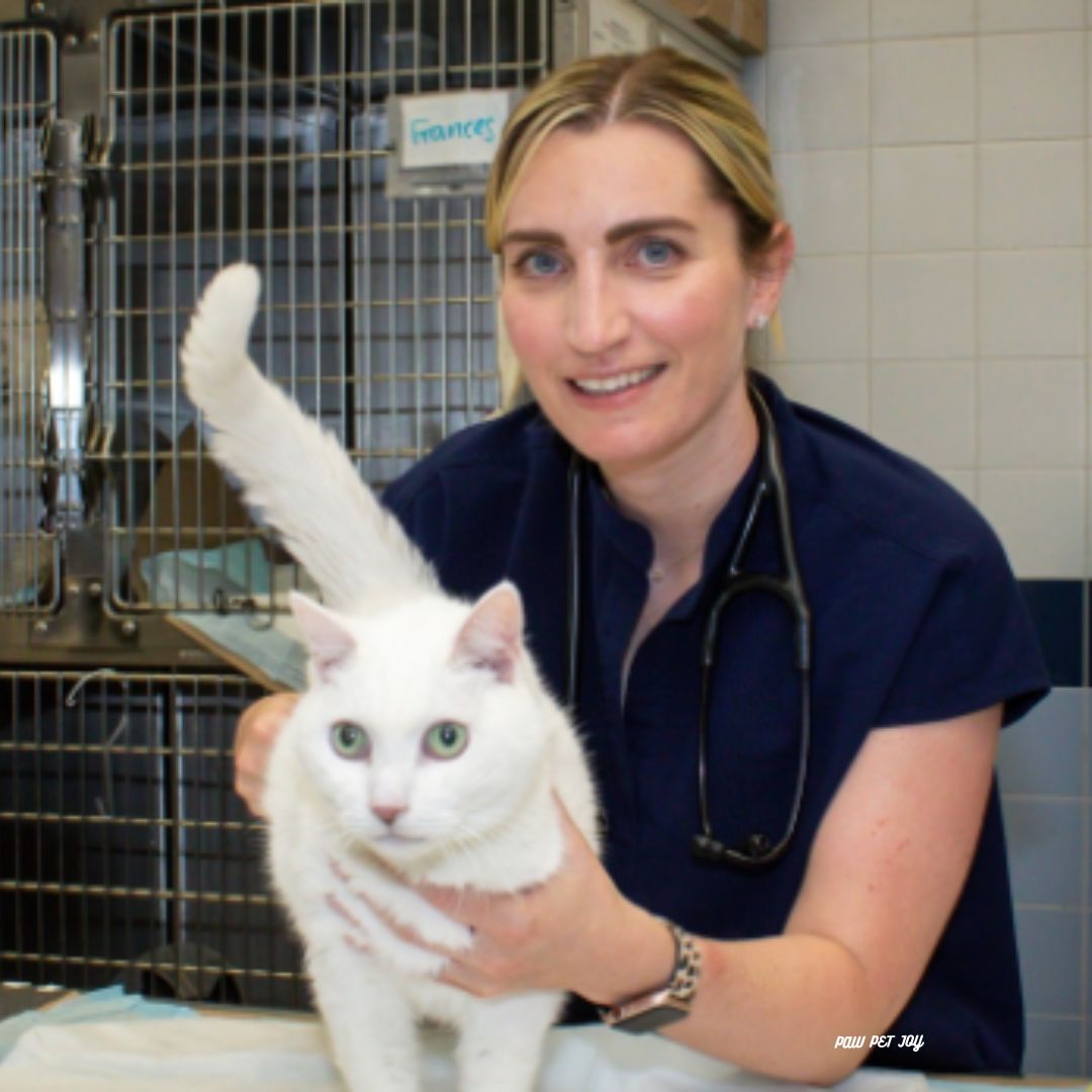 24- Hour pet hospital Critical Care for pets & Exotic Pets