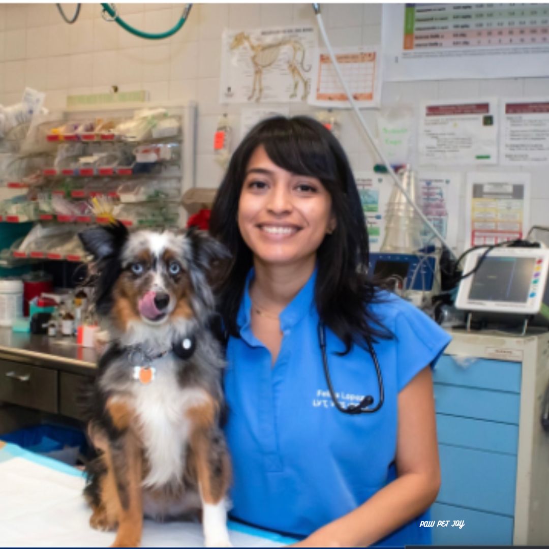 24- Hour pet hospital Critical Care for pets &amp; Exotic Pets