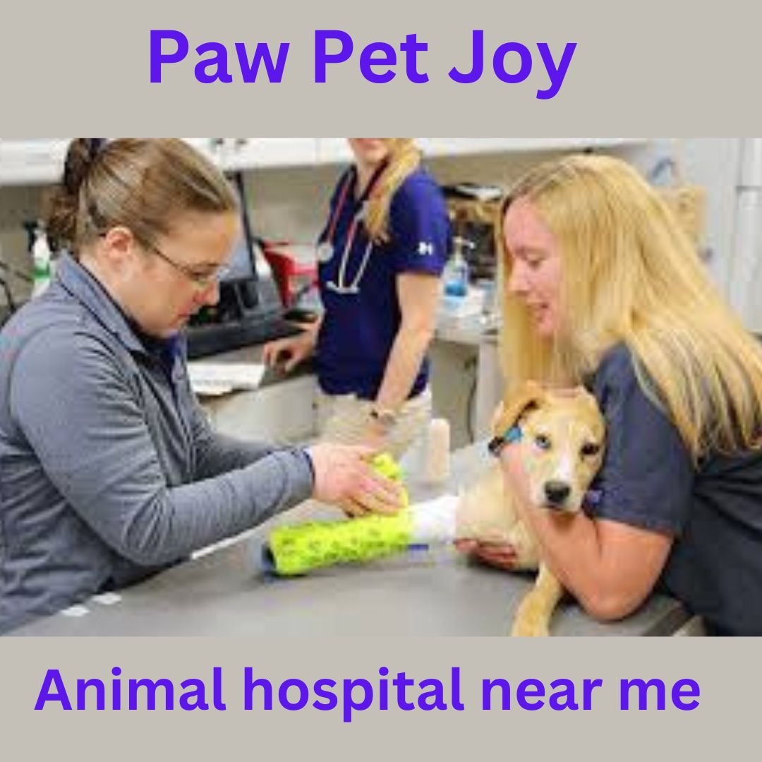 Animal hospital near me