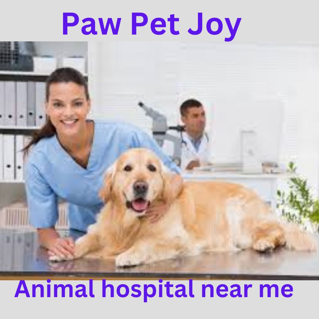 Animal hospital near me