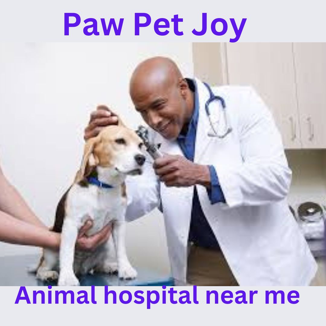 Animal hospital near me