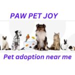 Pet adoption near me