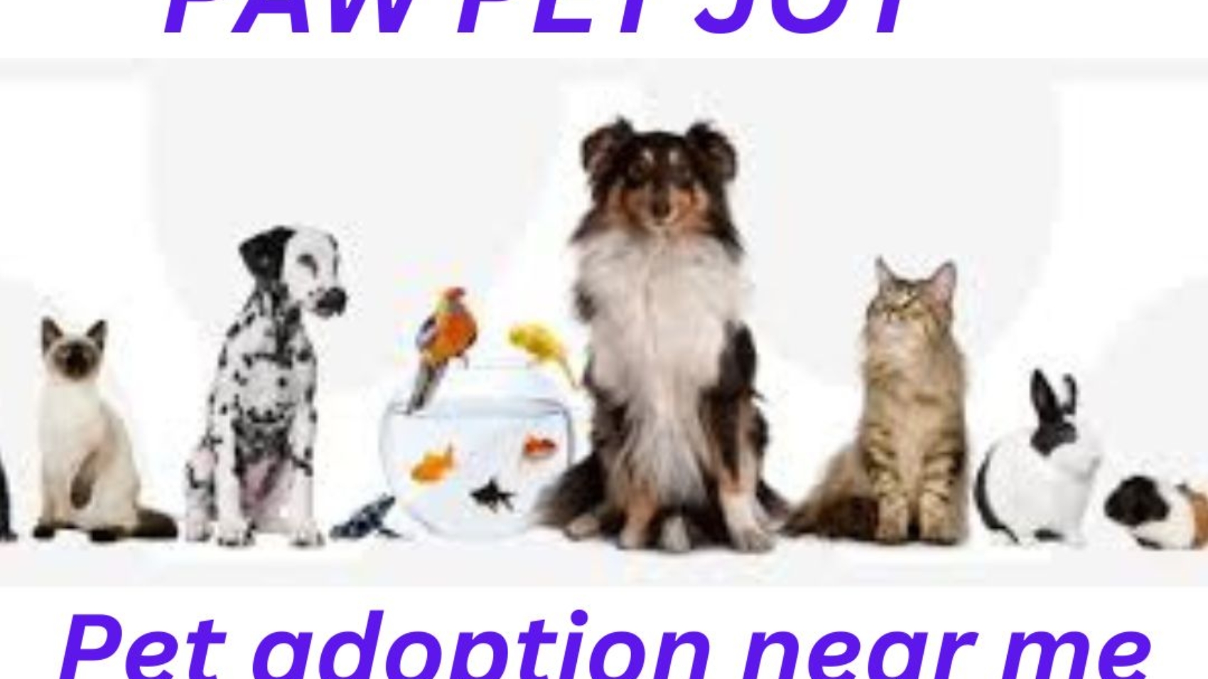 Pet adoption near me