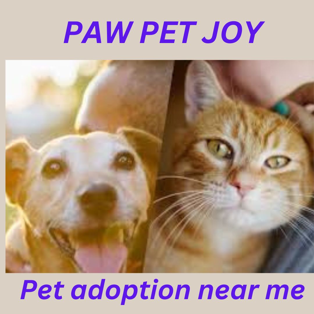 Pet adoption near me