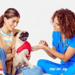 Pet clinic comprehensive care for your pet at a practice