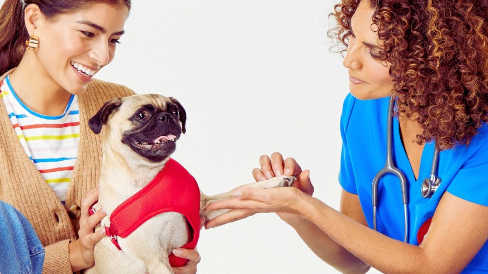 Pet clinic comprehensive care for your pet at a practice