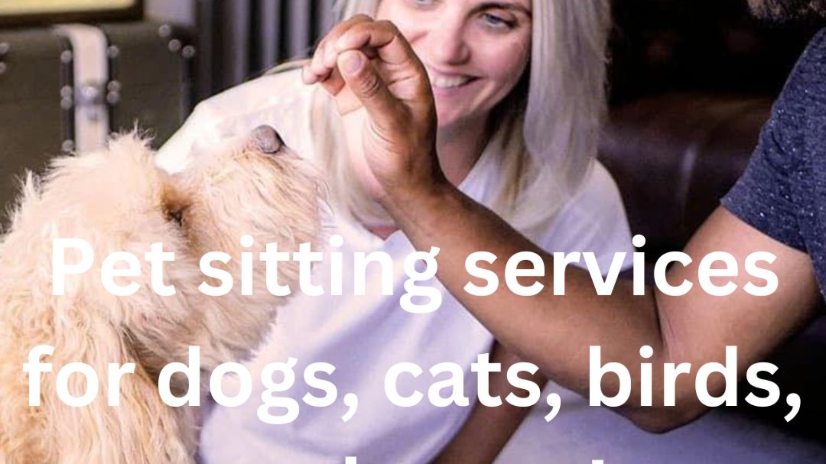 Pet sitting services for dogs, cats, birds, and more!